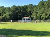 8206 Skipjack Drive - Photo 93