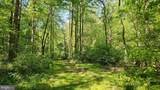 559 Bessie Bell Mountain Road - Photo 70