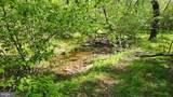559 Bessie Bell Mountain Road - Photo 71