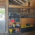 31191 Johnson Road - Photo 34