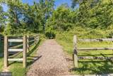 15713 Murphys Tin Street - Photo 48