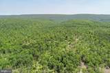 2026 Spring Lick Road - Photo 19