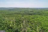2026 Spring Lick Road - Photo 8