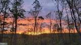 22262 Deer Run - Photo 66