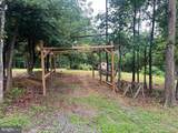 1250 Feller - Photo 8