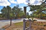 29406 Cynthia Lane - Photo 63