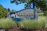 38303 Bluebird Lane - Photo 2