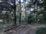 1217 Barton Road - Photo 54