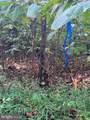 Lot 4A Steamboat Run Road - Photo 27