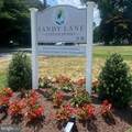 18 Sandy Lane - Photo 39
