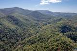 13630 Crabtree Falls Hwy - Photo 16