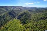 13630 Crabtree Falls Hwy - Photo 19