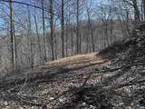 13630 Crabtree Falls Hwy - Photo 41