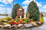 27335 Seafarer Road - Photo 38