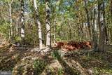 0 Hedrick Ln - Photo 8