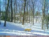 401 Beck Mill Rd Beck Mill Rd - Photo 7