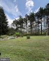 33940 Mountain Valley Road - Photo 6
