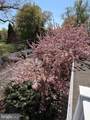 764 Riverside Drive - Photo 17