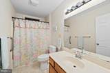 29 Pinehurst Road - Photo 21