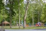 29 Pinehurst Road - Photo 65