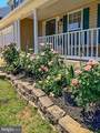 62 Chadwick Drive - Photo 4