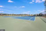 30948 Snow Bunting Court - Photo 51