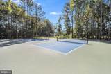 30948 Snow Bunting Court - Photo 53