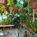 19 Farm Road - Photo 35