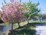 30611 Cedar Neck Road - Photo 42