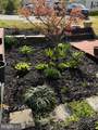 104 Meadow Road - Photo 26