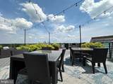 41 Lemon Street - Photo 35
