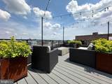 41 Lemon Street - Photo 36