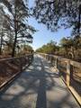 12001 Old Vine Boulevard - Photo 48