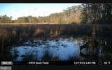2839 Lakesville Crapo Road - Photo 20