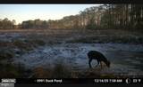 2839 Lakesville Crapo Road - Photo 23