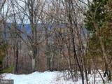  Wardensville Grade - Photo 19