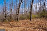  Wardensville Grade - Photo 4