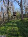 913 Stehman Road - Photo 29