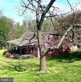115 Chester Gap Road - Photo 52