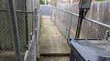1407 Beech Street - Photo 20
