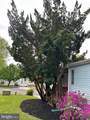 3 Bay Vista Drive - Photo 45