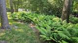 606 Tony Tank Lane - Photo 13