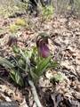  Turkey Neck Road - Photo 16