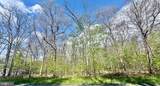  Turkey Neck Road - Photo 5