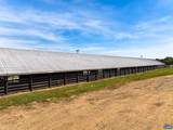 481 Race Ground Rd - Photo 48