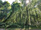 1260 Lottie Fowler Road - Photo 4