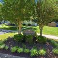 102 Wood Duck Circle - Photo 5