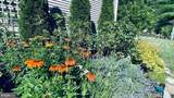 6484 Carpers Pike - Photo 33