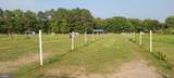 31244 Dog House Drive - Photo 12