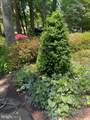 5201 Hesperus Drive - Photo 54